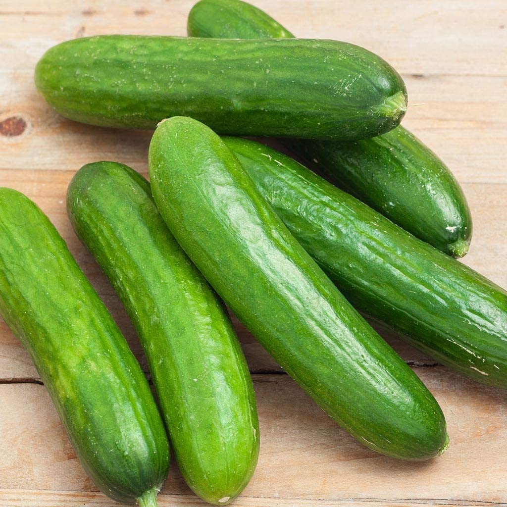 Spacemaster Cucumber Seeds: Compact & High-Yielding for Urban Gardens –  Gardeners Basics