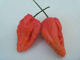 Ghost Pepper Powder, from the hottest pepper in the world - Country Creek LLC