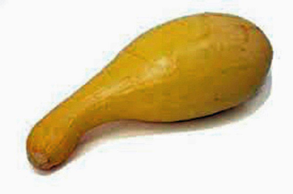 Squash Seeds,golden Crookneck Squash, Heirloom, Organic, 100 Seeds,non Gmo - Country Creek LLC