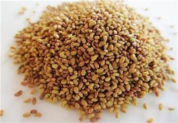 Cress Seed, Microgreen, Sprouting, Non GMO - Country Creek – Country Creek  LLC